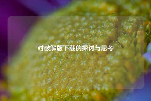 对破解版下载的探讨与思考