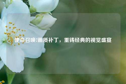 使命召唤7画质补丁,重铸经典的视觉盛宴