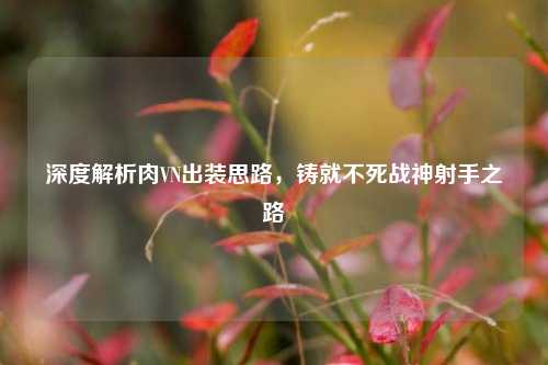 深度解析肉VN出装思路,铸就不死战神射手之路