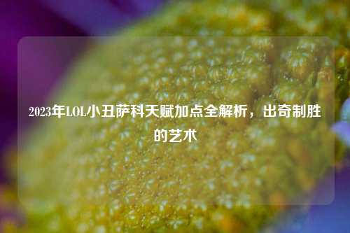 2023年LOL小丑萨科天赋加点全解析,出奇制胜的艺术