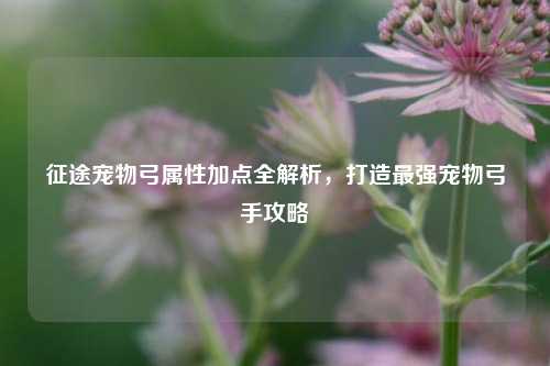 征途宠物弓属性加点全解析,打造最强宠物弓手攻略