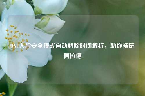 DNF人脸安全模式自动解除时间解析,助你畅玩阿拉德