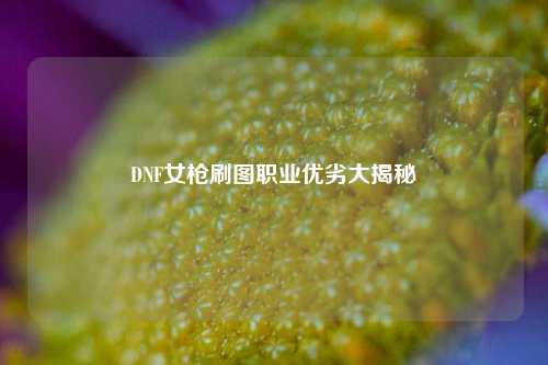 DNF女枪刷图职业优劣大揭秘