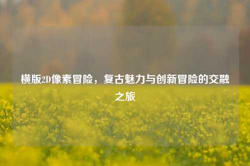 横版2D像素冒险，复古魅力与创新冒险的交融之旅