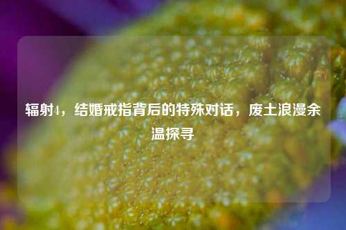 辐射4,结婚戒指背后的特殊对话,废土浪漫余温探寻
