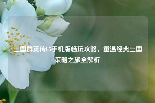 三国群英传h5手机版畅玩攻略,重温经典三国策略之旅全解析