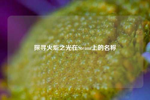 探寻火炬之光在Steam上的名称