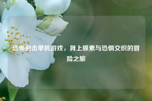 恐怖射击单机游戏,肾上腺素与恐惧交织的冒险之旅