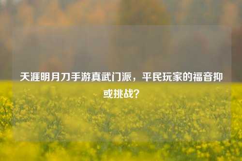 天涯明月刀手游真武门派,平民玩家的福音抑或挑战?