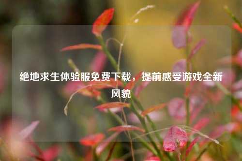 绝地求生体验服免费下载,提前感受游戏全新风貌