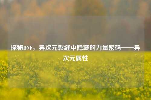 探秘DNF,异次元裂缝中隐藏的力量密码——异次元属性