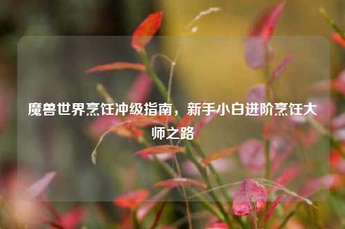 魔兽世界烹饪冲级指南,新手小白进阶烹饪大师之路