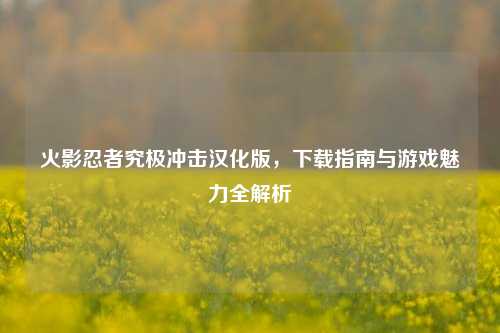 火影忍者究极冲击汉化版,下载指南与游戏魅力全解析