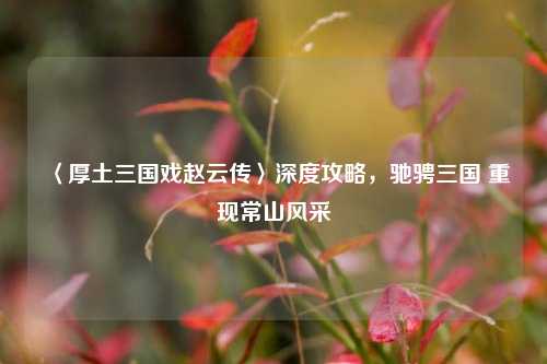 〈厚土三国戏赵云传〉深度攻略,驰骋三国 重现常山风采