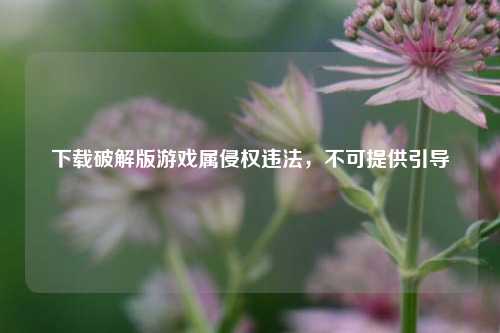 下载破解版游戏属侵权违法,不可提供引导