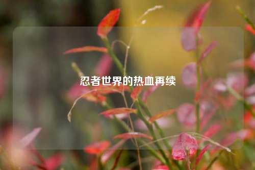 忍者世界的热血再续