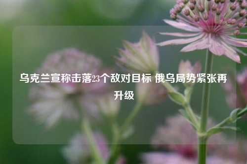 乌克兰宣称击落23个敌对目标 俄乌局势紧张再升级