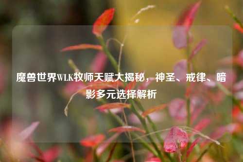 魔兽世界WLK牧师天赋大揭秘,神圣、戒律、暗影多元选择解析