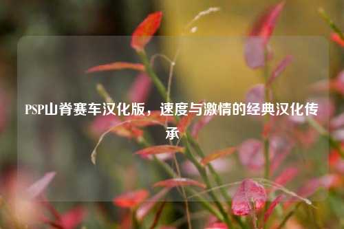 PSP山脊赛车汉化版,速度与激情的经典汉化传承