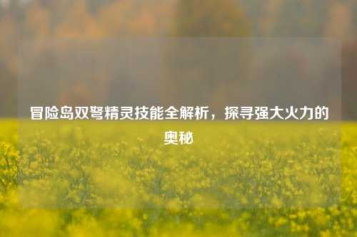 冒险岛双弩精灵技能全解析,探寻强大火力的奥秘