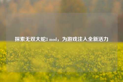 探索无双大蛇3 mod,为游戏注入全新活力