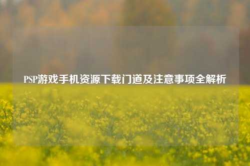 PSP游戏手机资源下载门道及注意事项全解析