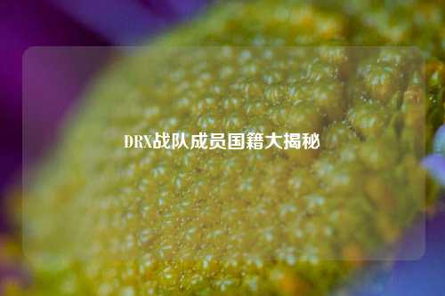 DRX战队成员国籍大揭秘