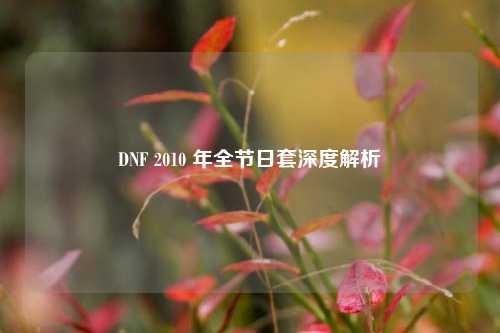 DNF 2010 年全节日套深度解析