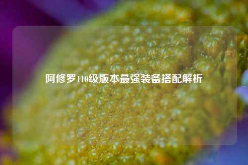 阿修罗110级版本最强装备搭配解析
