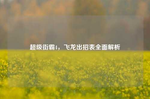 超级街霸4,飞龙出招表全面解析