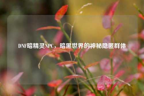 DNF暗精灵NPC，暗黑世界的神秘隐匿群体