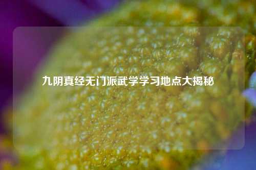 九阴真经无门派武学学习地点大揭秘