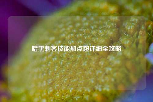 暗黑刺客技能加点超详细全攻略