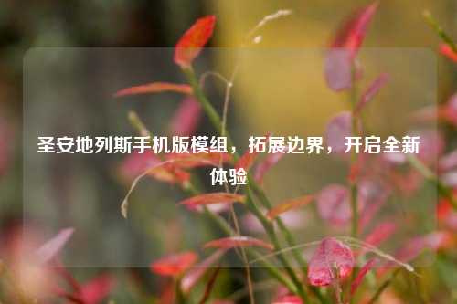 圣安地列斯手机版模组，拓展边界，开启全新体验