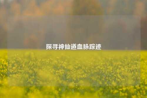 探寻神仙道血脉踪迹