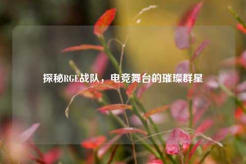 探秘RGE战队,电竞舞台的璀璨群星