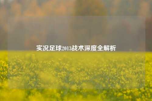 实况足球2013战术深度全解析