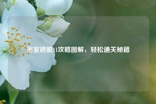 密室逃脱11攻略图解，轻松通关秘籍