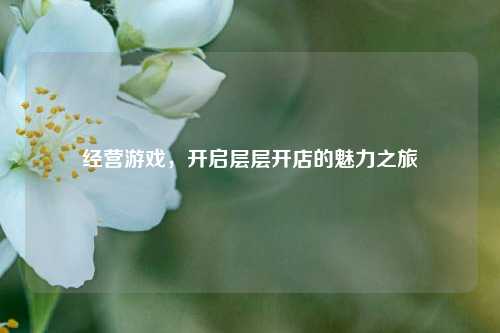 经营游戏,开启层层开店的魅力之旅