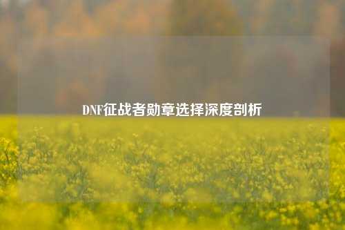 DNF征战者勋章选择深度剖析