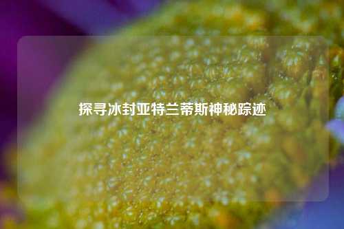 探寻冰封亚特兰蒂斯神秘踪迹