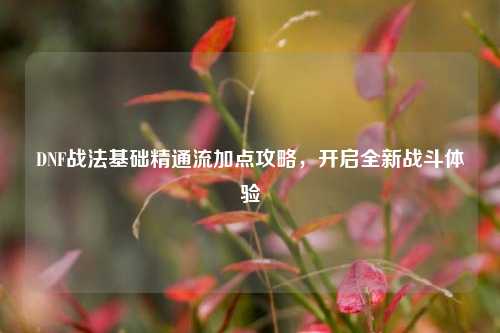 DNF战法基础精通流加点攻略，开启全新战斗体验