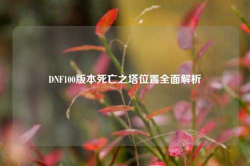 DNF100版本死亡之塔位置全面解析